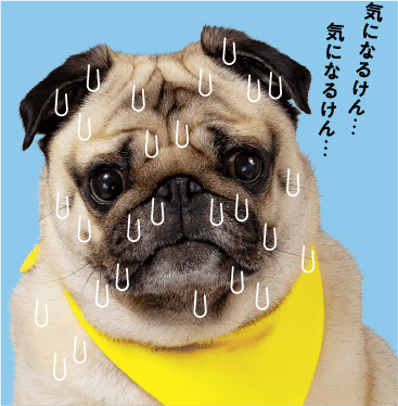 気になるけん・・・気になるけん・・・