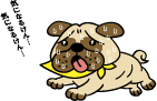 気になる犬