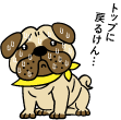 気になる犬